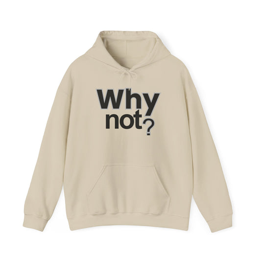 Why Not? Hoodie - Shante's Bazaar