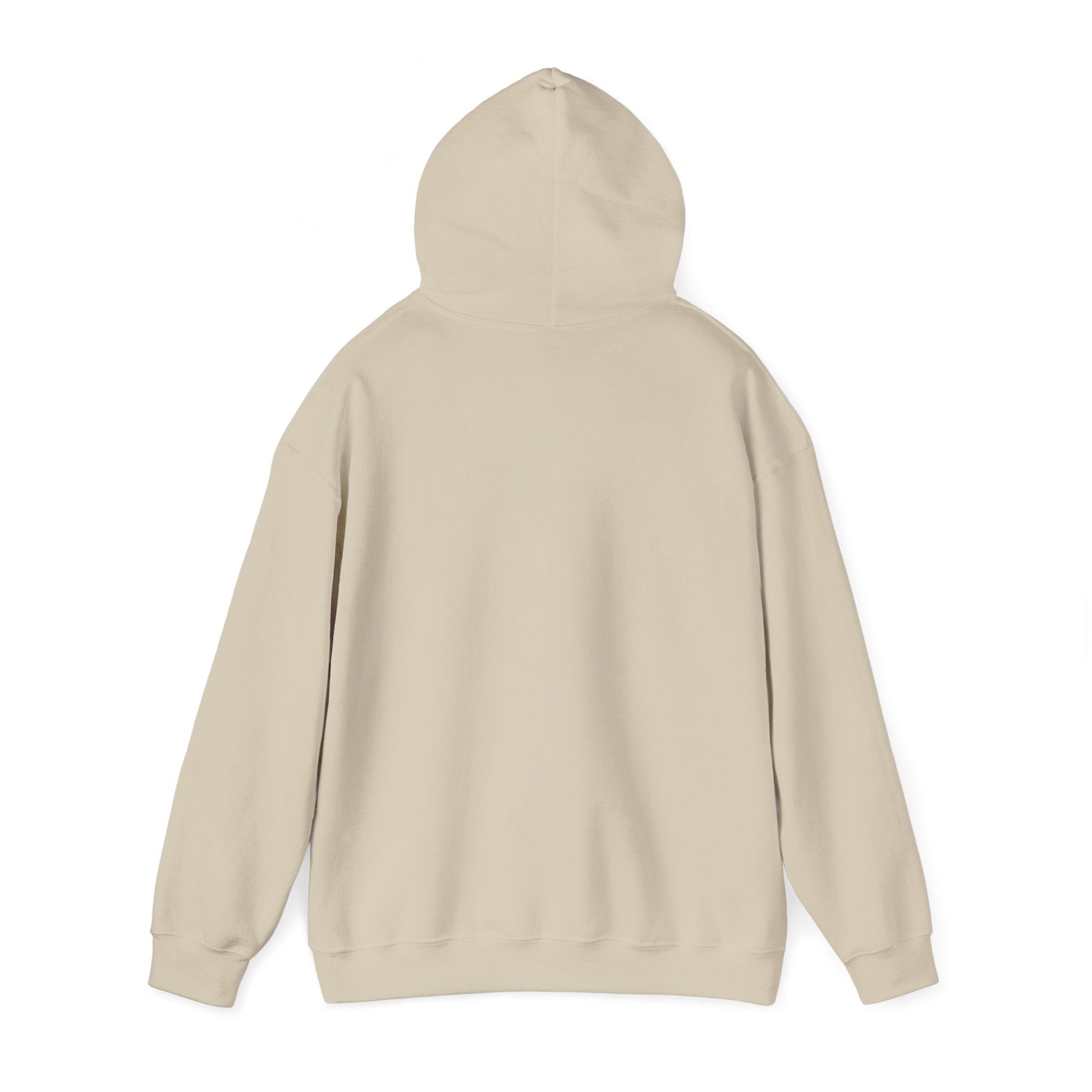 I'm Game pixel art Hoodie | retro gaming, streamer meme - Shante's Bazaar