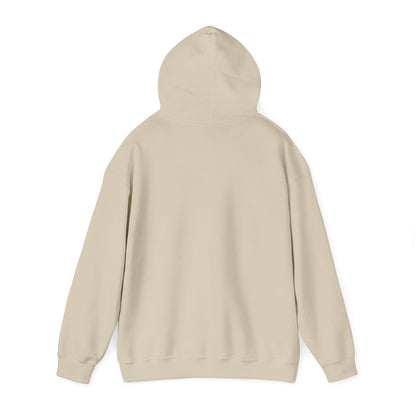 I'm Game pixel art Hoodie | retro gaming, streamer meme - Shante's Bazaar