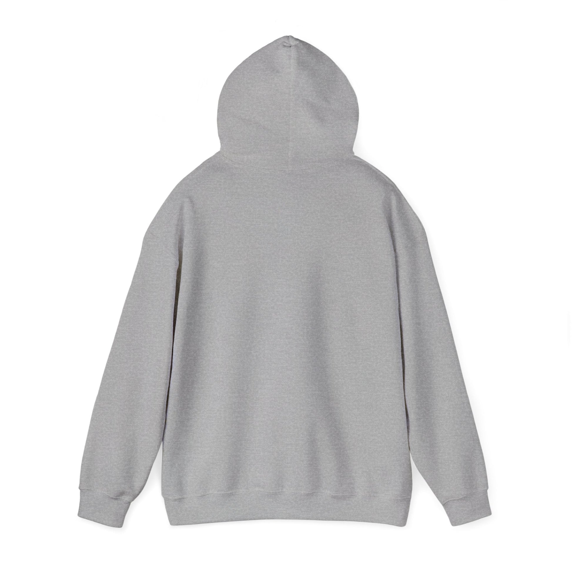 I'm Game pixel art Hoodie | retro gaming, streamer meme - Shante's Bazaar