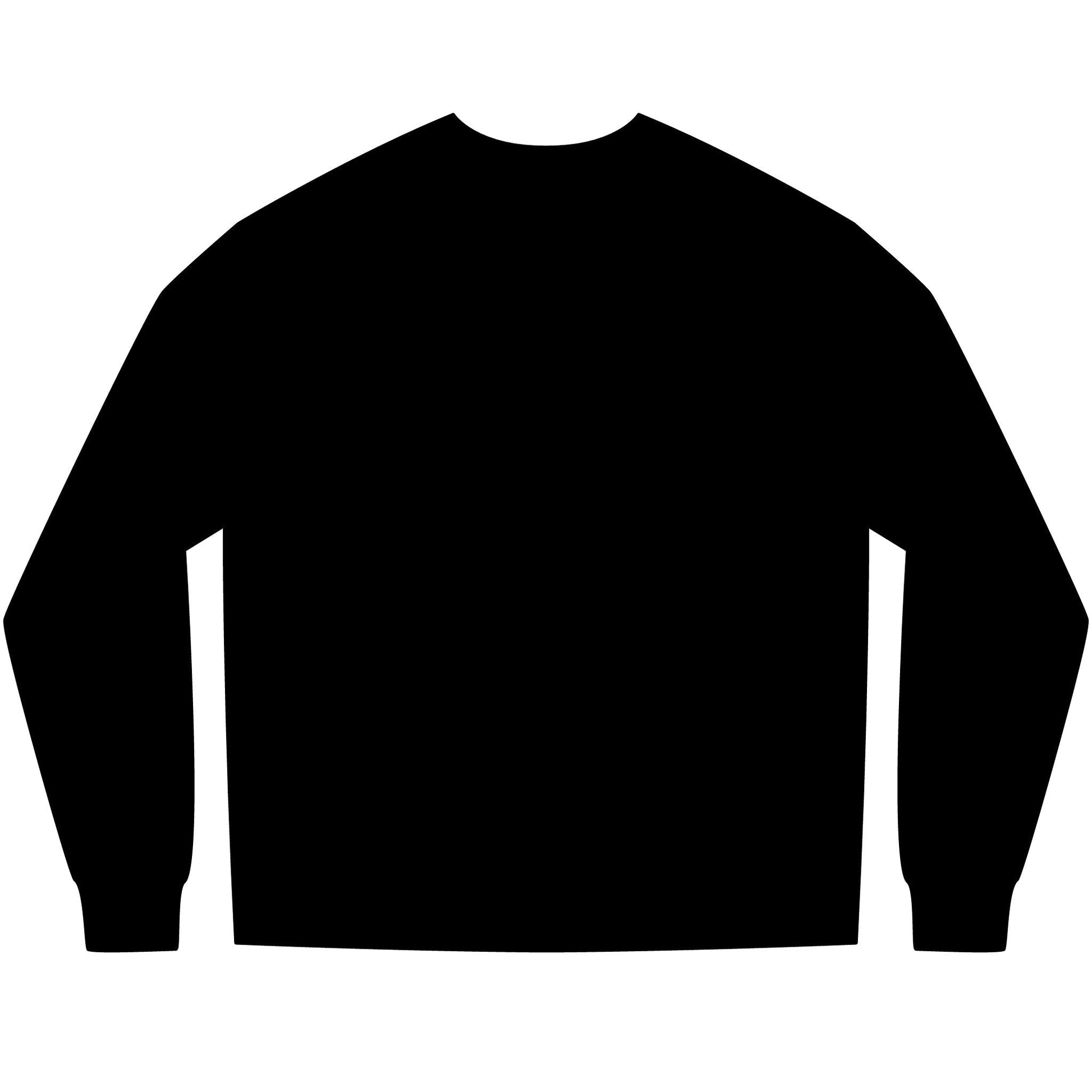 Live Out Loud Graphic Long Sleeve Tee - Shante's Bazaar