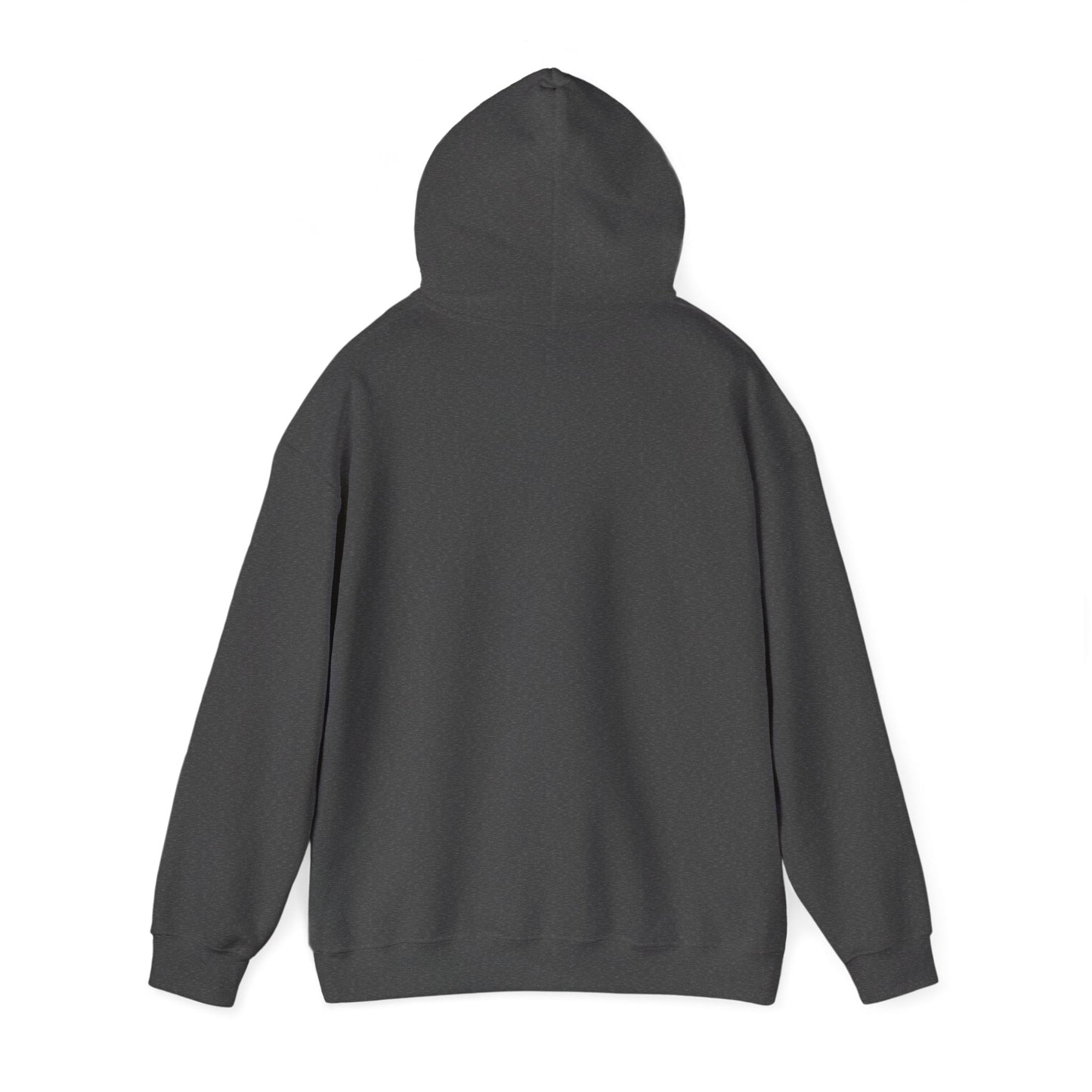 Live Out Loud Hoodie — Expressive Graphic Hooded Sweatshirt - Shante's Bazaar