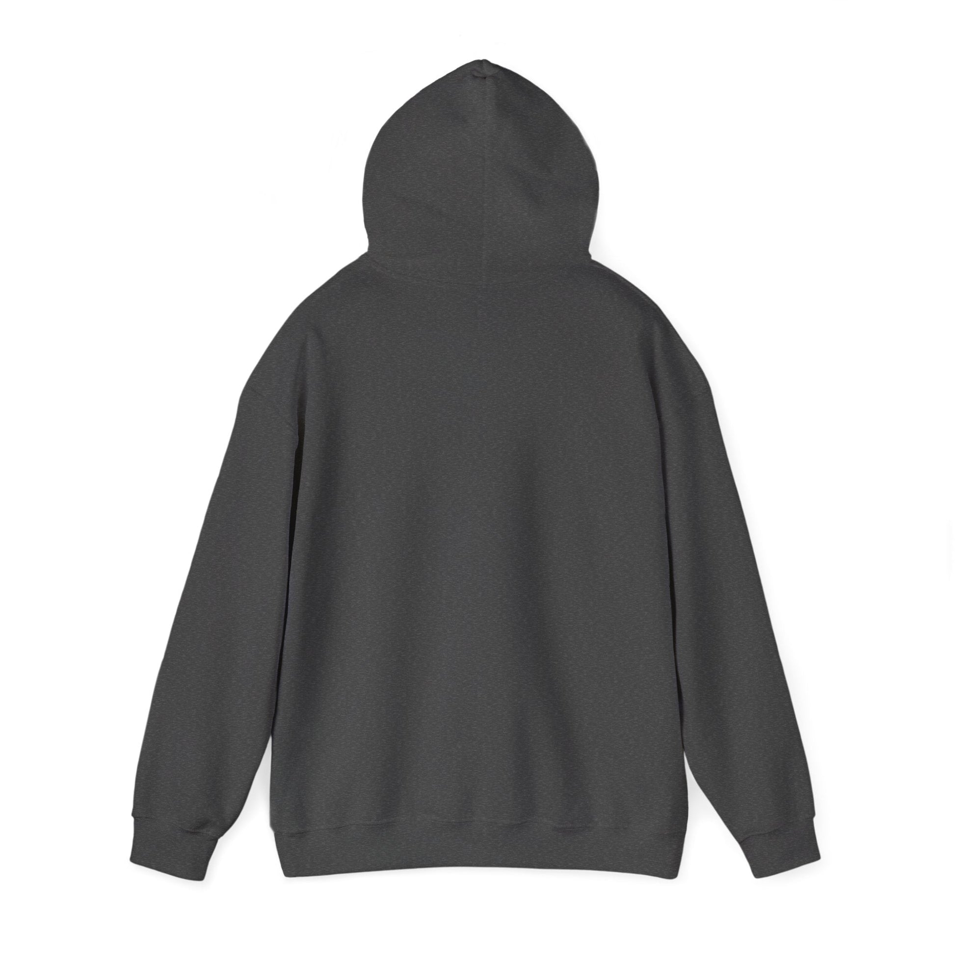 Live Out Loud Hoodie — Expressive Graphic Hooded Sweatshirt - Shante's Bazaar