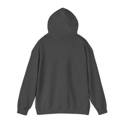 Live Out Loud Hoodie — Expressive Graphic Hooded Sweatshirt - Shante's Bazaar