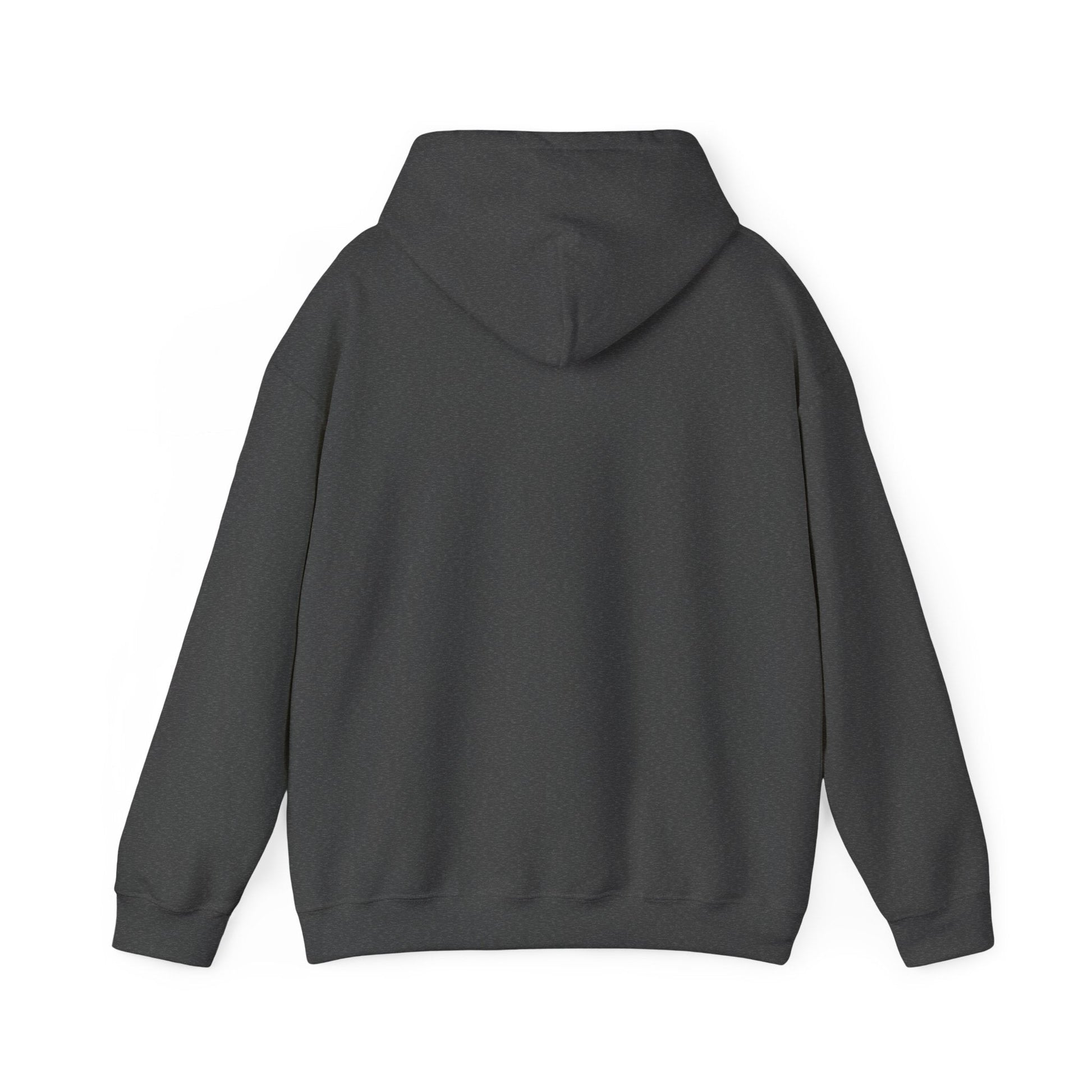Live Out Loud Hoodie — Expressive Graphic Hooded Sweatshirt - Shante's Bazaar