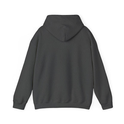 Live Out Loud Hoodie — Expressive Graphic Hooded Sweatshirt - Shante's Bazaar