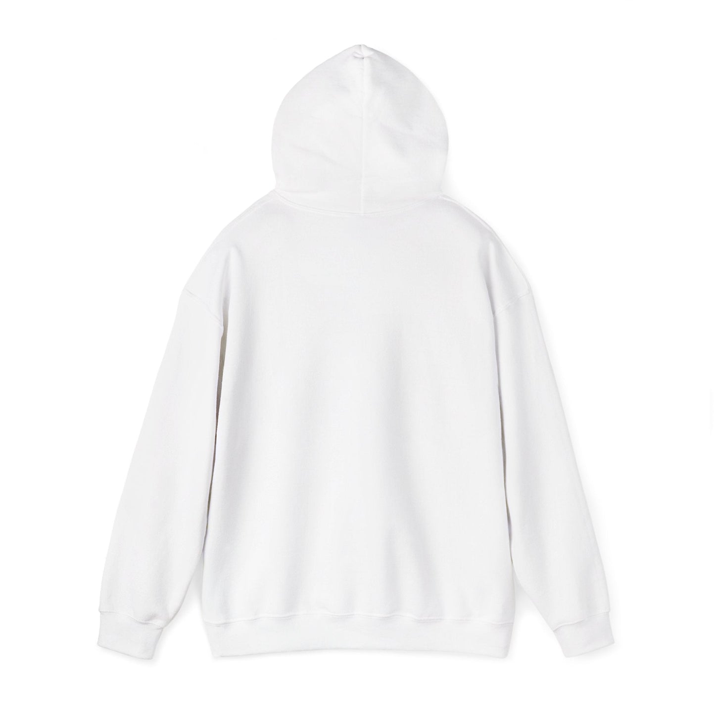 Why Not? Hoodie - Shante's Bazaar