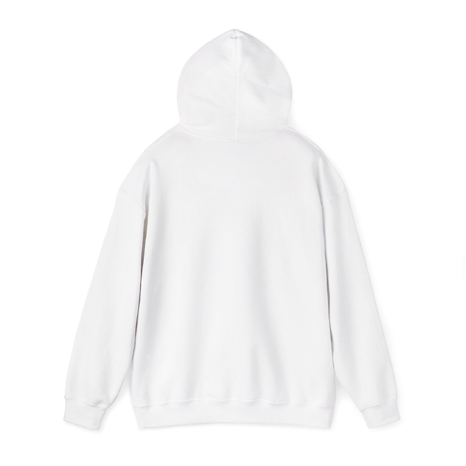 Why Not? Hoodie - Shante's Bazaar
