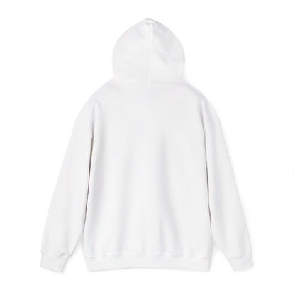 Why Not? Hoodie - Shante's Bazaar