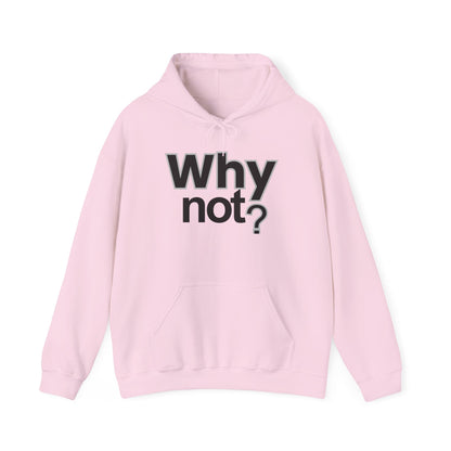 Why Not? Hoodie - Shante's Bazaar