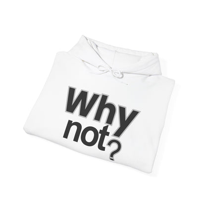 Why Not? Hoodie - Shante's Bazaar