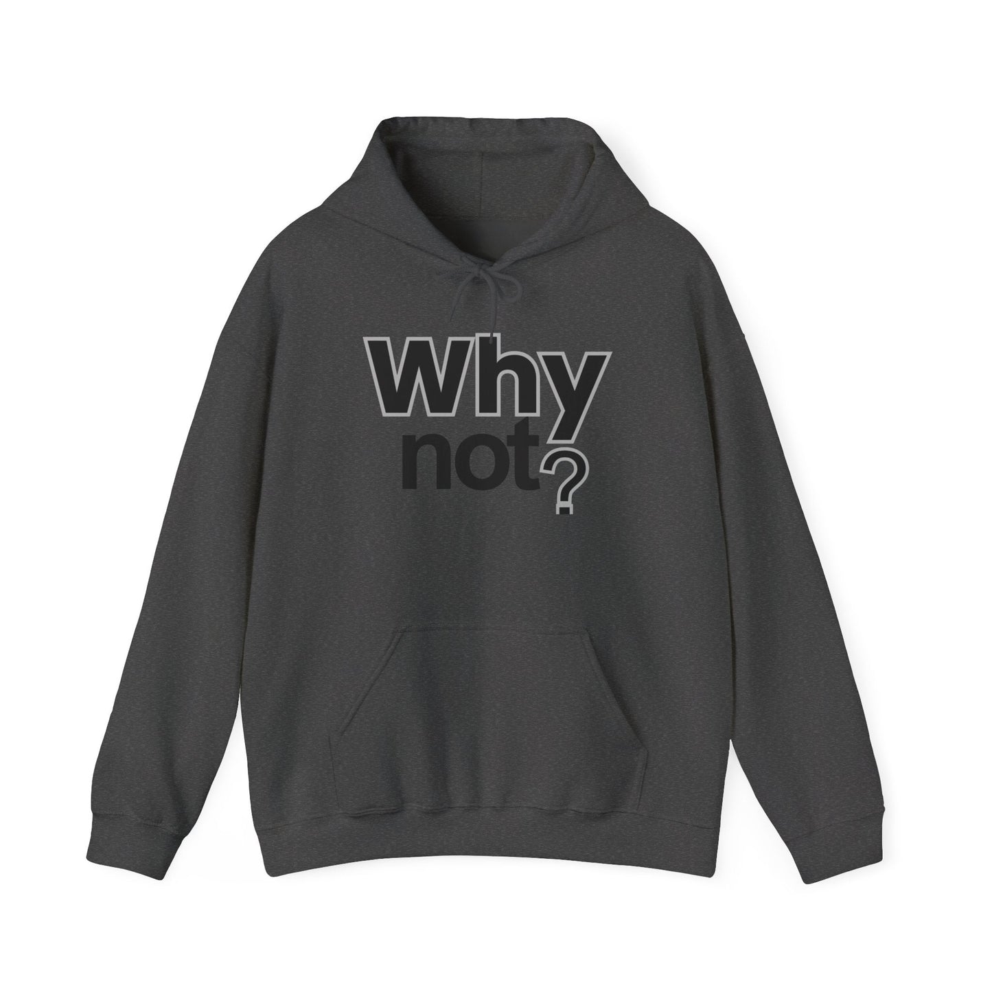 Why Not? Hoodie - Shante's Bazaar