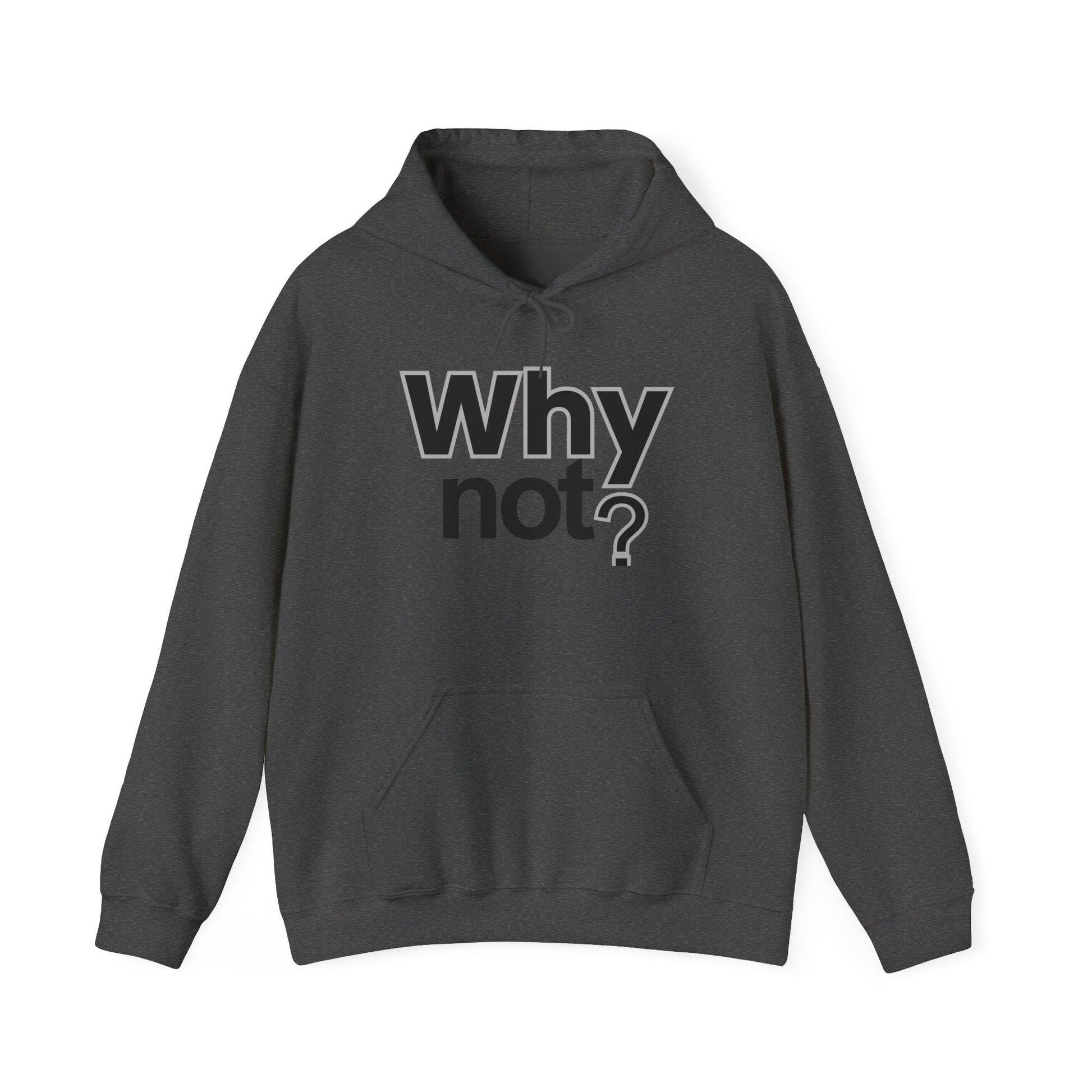 Why Not? Hoodie - Shante's Bazaar