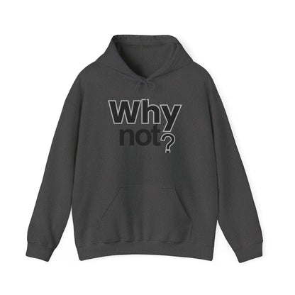 Why Not? Hoodie - Shante's Bazaar