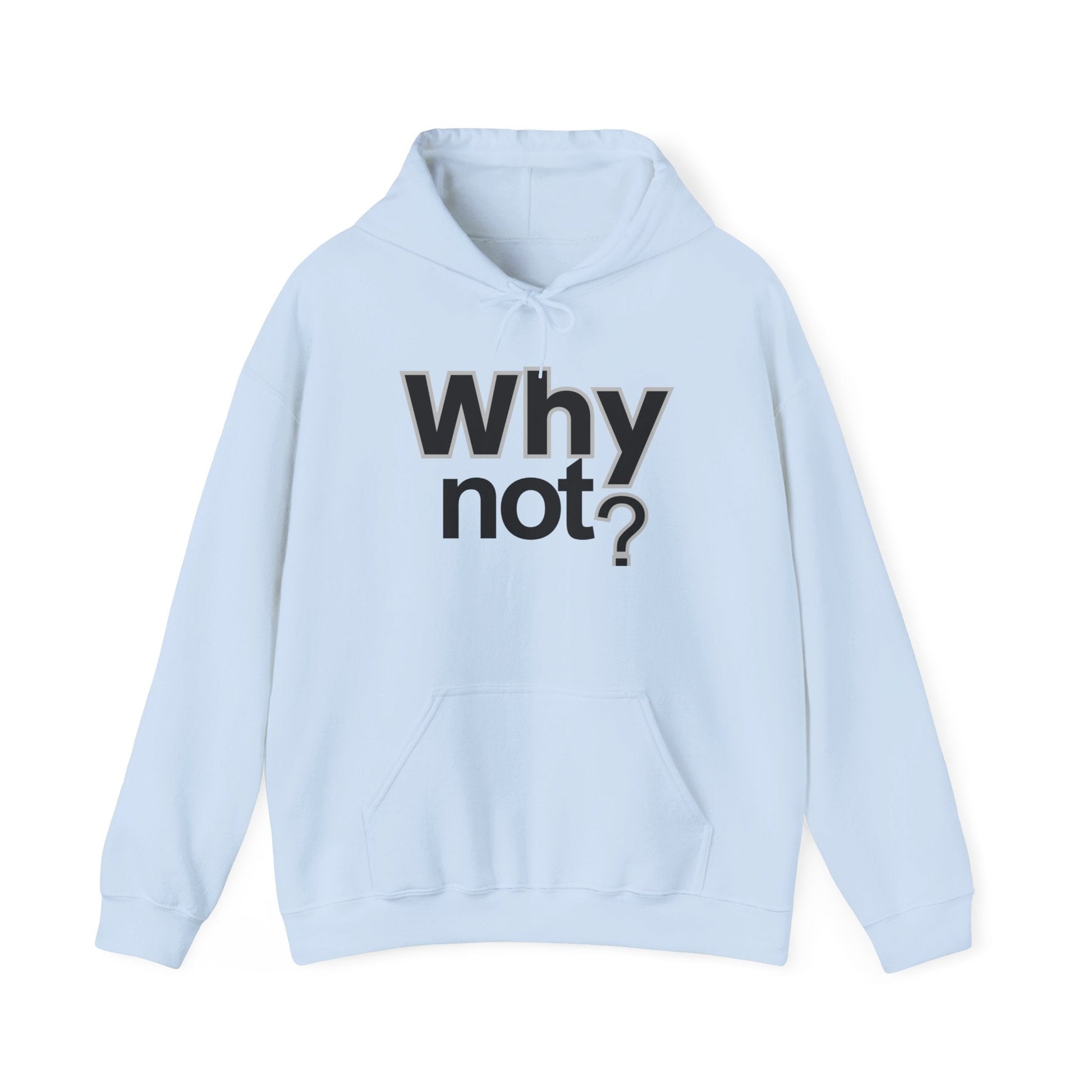 Why Not? Hoodie - Shante's Bazaar