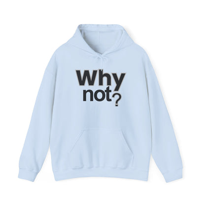 Why Not? Hoodie - Shante's Bazaar
