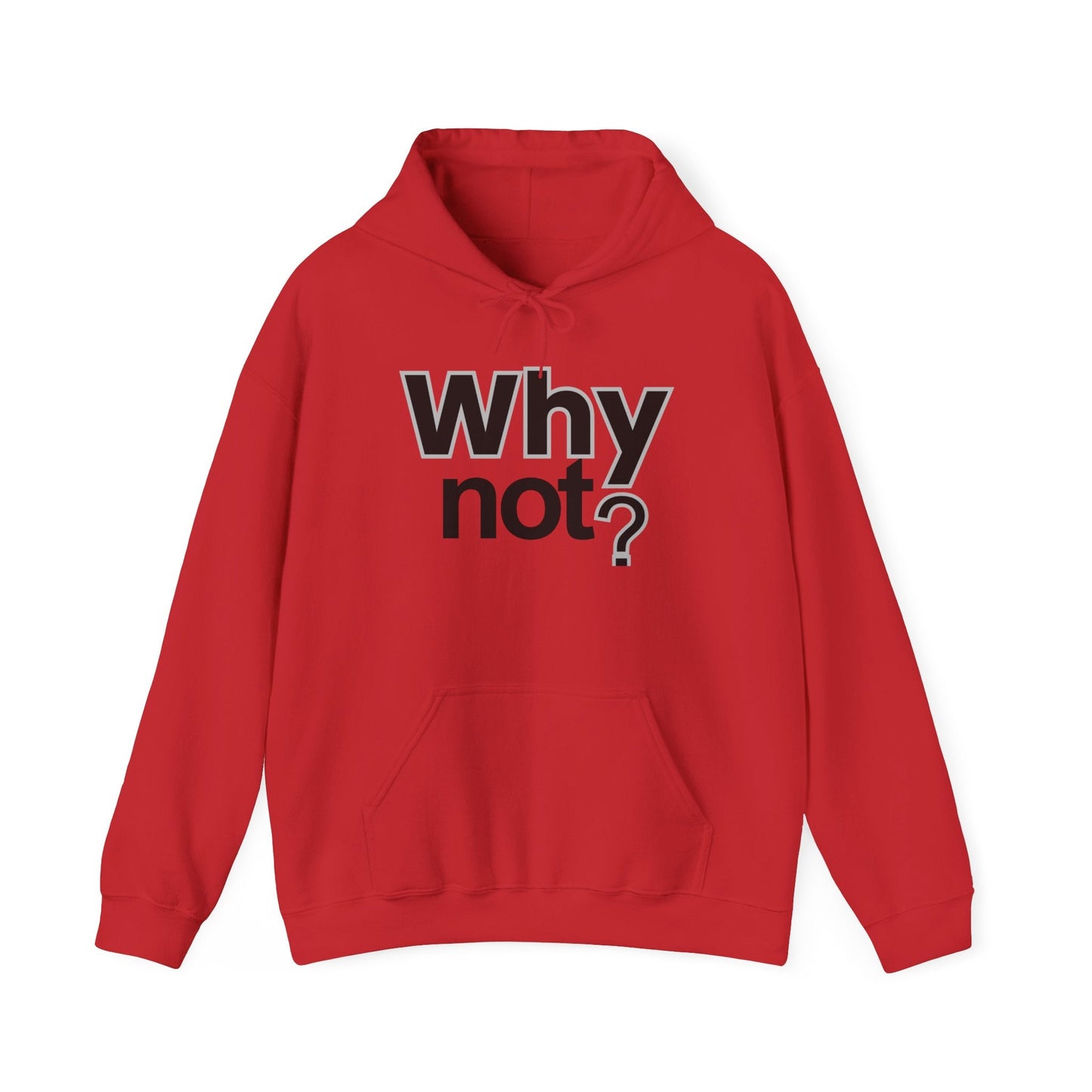 Why Not? Hoodie - Shante's Bazaar