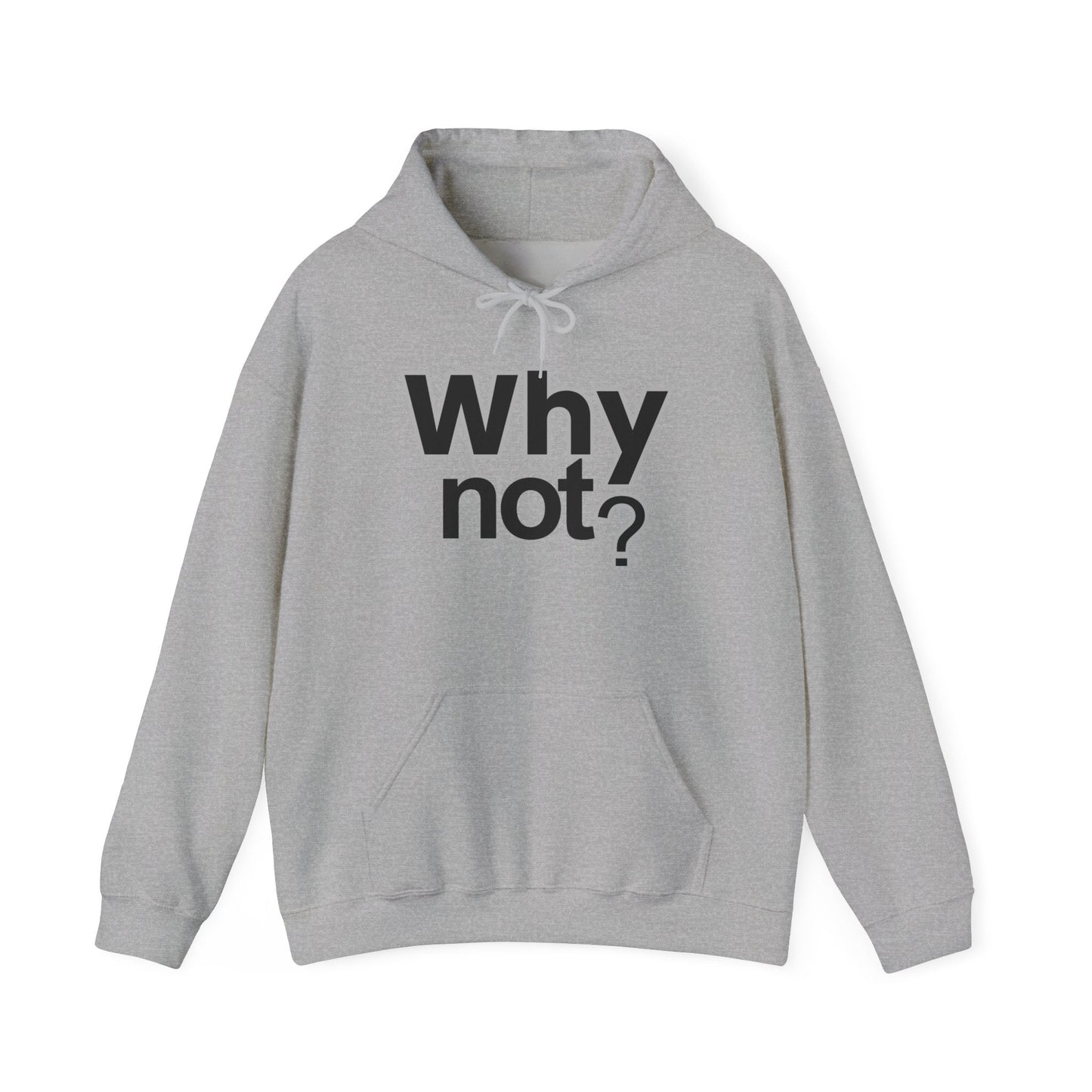 Why Not? Hoodie - Shante's Bazaar