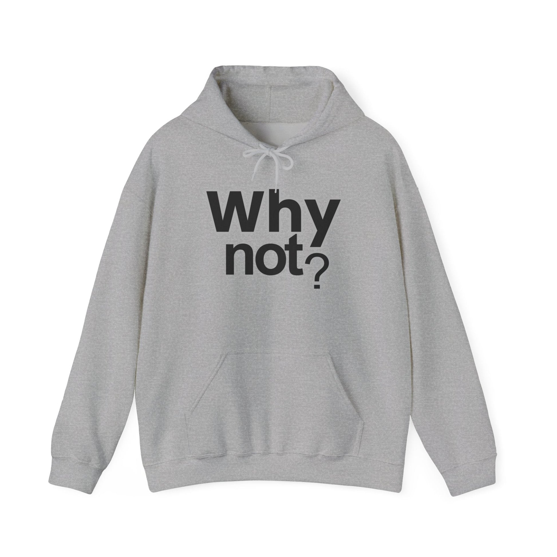 Why Not? Hoodie - Shante's Bazaar