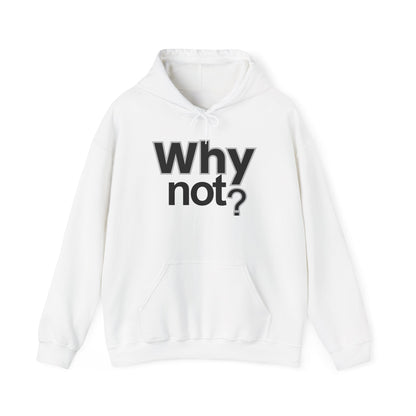 Why Not? Hoodie - Shante's Bazaar