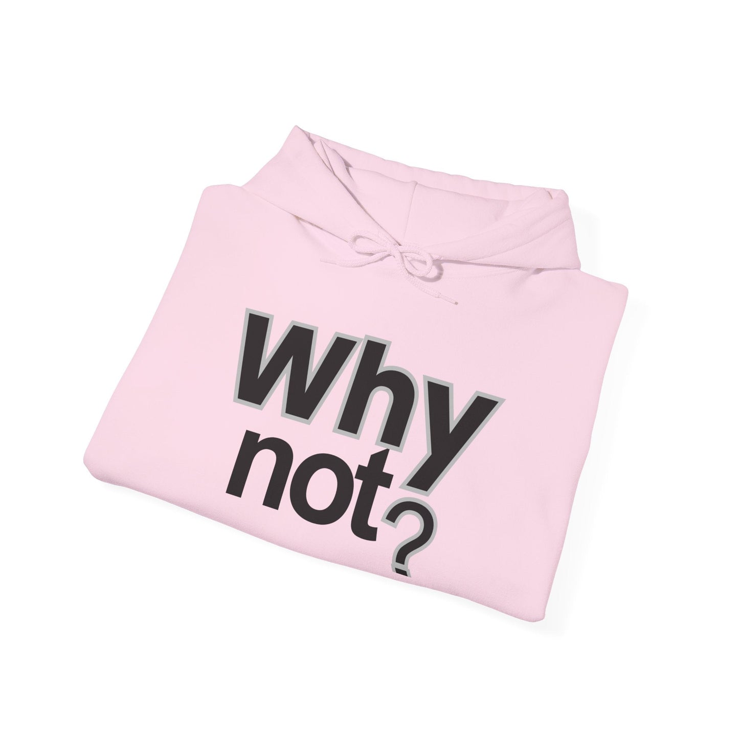 Why Not? Hoodie - Shante's Bazaar