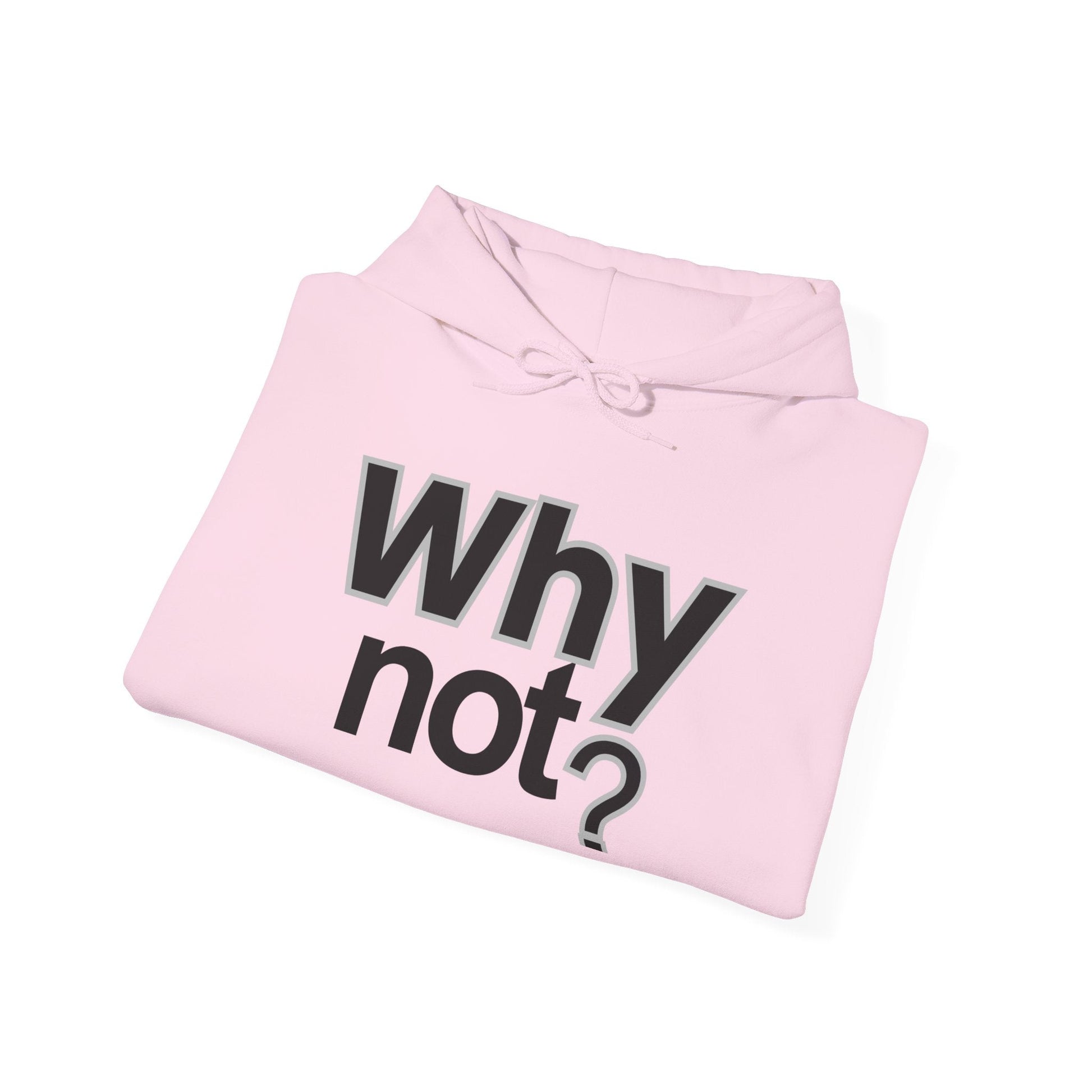 Why Not? Hoodie - Shante's Bazaar