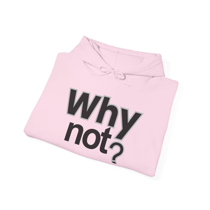 Why Not? Hoodie - Shante's Bazaar