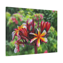 Load image into Gallery viewer, Red Frangipani, Matte Canvas, Stretched
