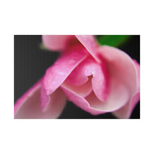 Load image into Gallery viewer, Young Rose, Canvas, Stretched
