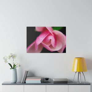 Young Rose, Canvas, Stretched