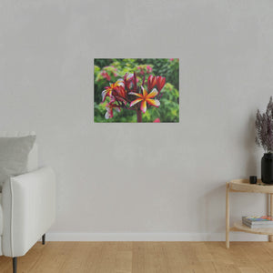 Red Frangipani, Matte Canvas, Stretched